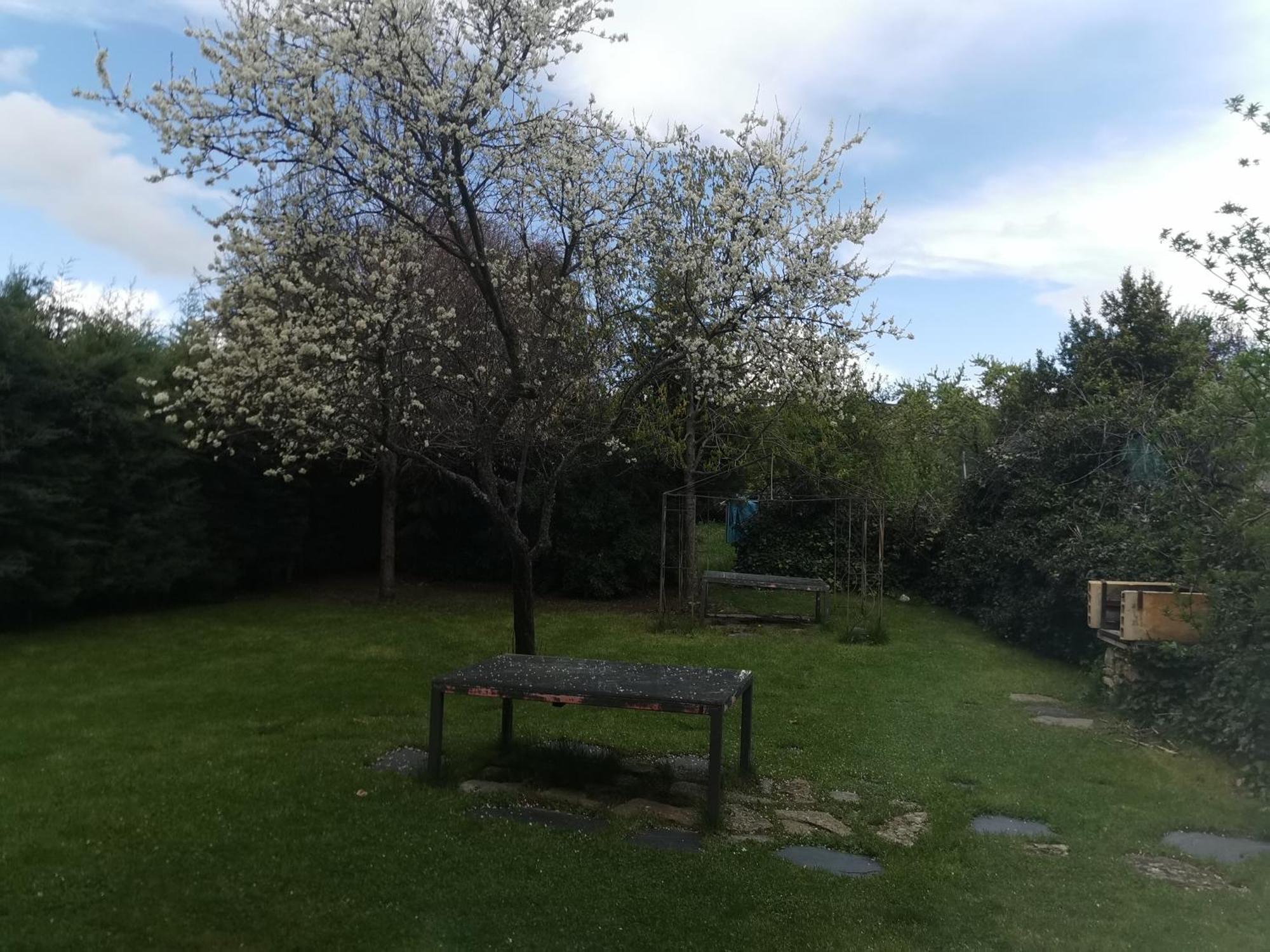 Apartamentos Rurales Alvado Tamajon Екстериор снимка